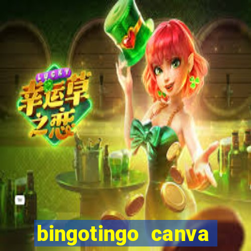 bingotingo canva pro gratis